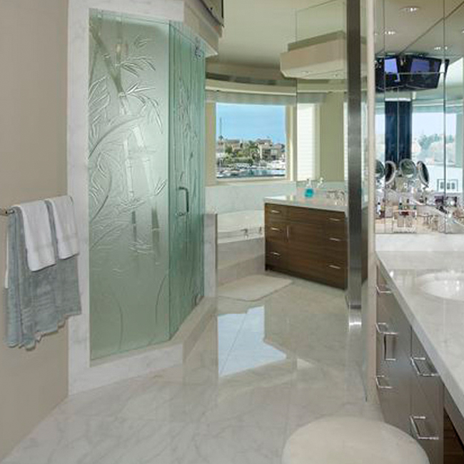 glass shower door