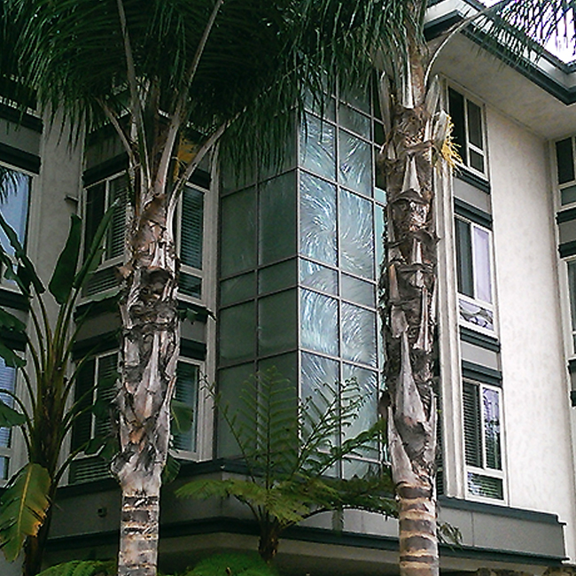 glass window