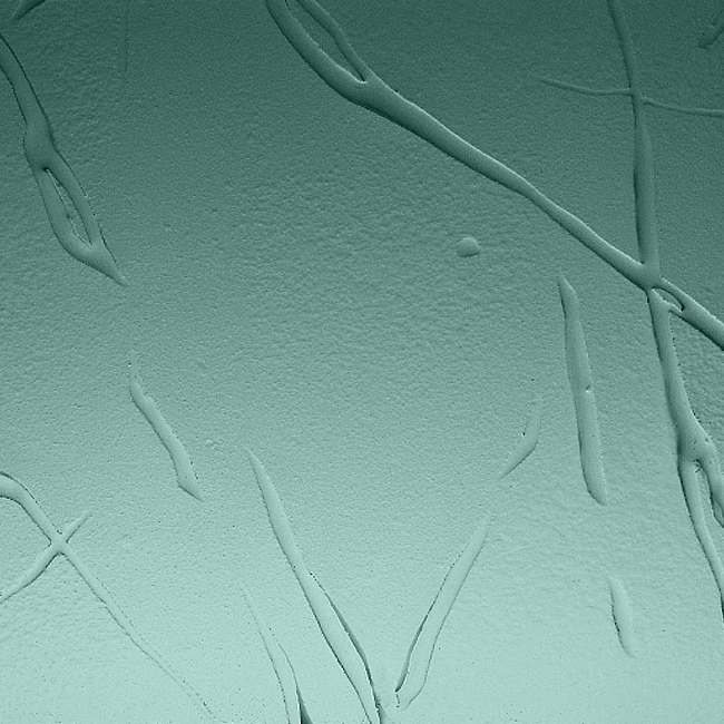 glass texture