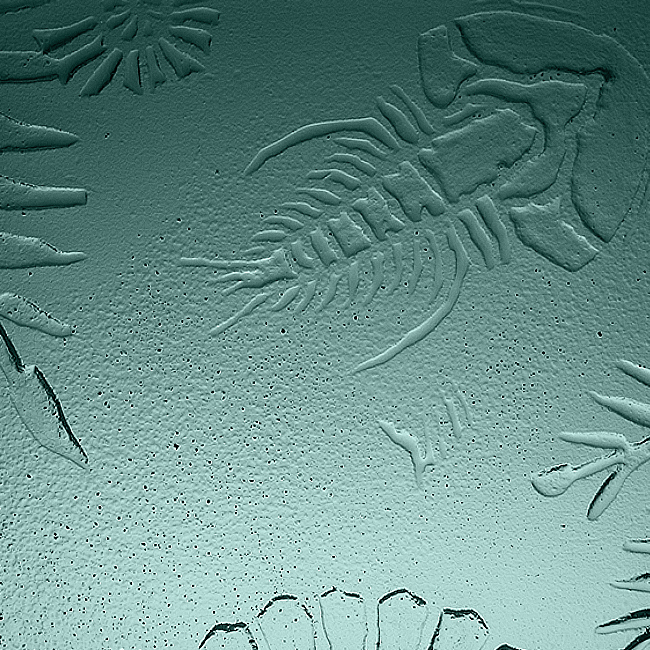 glass texture